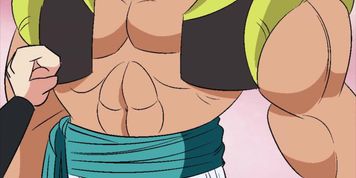 Fusion rump