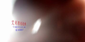 ???-????POV??k754361564-190312