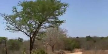 sloppy blowjob in public shower in south africa - mysexmobile