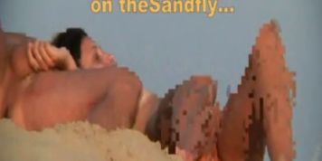 theSandfly Caught In The Sun! (Hiddencam___)