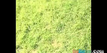 Dickflash - Jerk for nude sunbathing MILF
