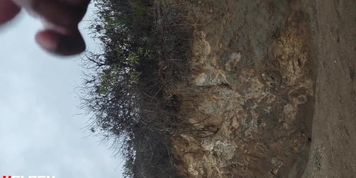 Hiking