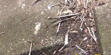 PISS JAPAN TV - Naughty japanese students pissing