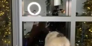 OnlyFans Becky Crocker bddp