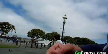 Flashing Pierced Cock In Public