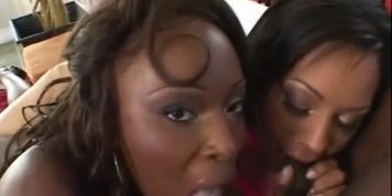 Jazmine Cashmere and Skyy Black get Rammed by Wesley Pipes