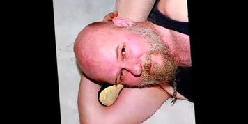 Lady and M.K.H Trampling with Gymnastic Flats