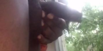 Black uncut dick,morning piss out my window lol. 