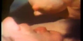 A classic lactation