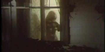 Connie Hoffman Breasts Scene  in The Van