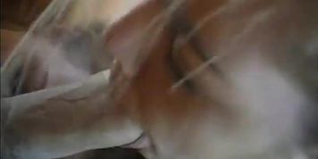 Two Hot Chics Suck A Cock