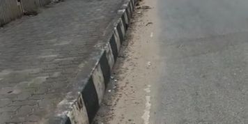 Desi Cock Flash