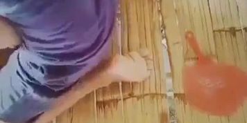 Payag