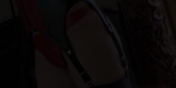 Domina Leather Tease