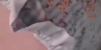 Hot Girl Farting - GIF