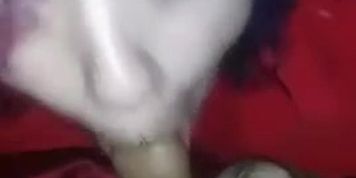 Teaser of kitten giving daddy sloppy head