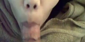 Asian teen with nice lips sucks him