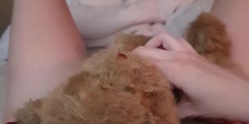 FPOV Teen schoolgirl humps teddy and cums - Onlyfans tahlia_simms