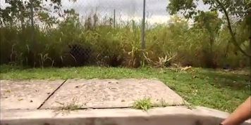 Huge Tit Milf Erika Xstacy Runs Into Huge Dick