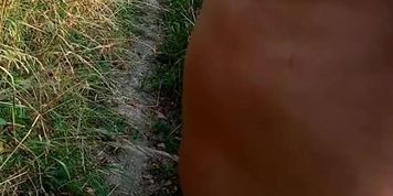 Public naked walk by road 