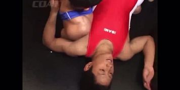 Japanese wrestling cup 01