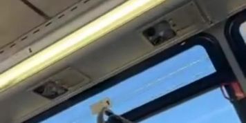 Bulge Flash on Bus