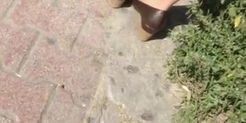 Tan Nylon Feet Play At the Bus Station