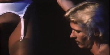 1981 hd