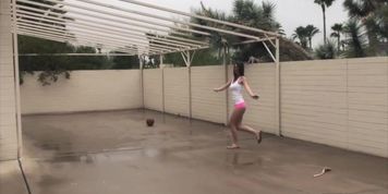 Aspen bounces around in the rain