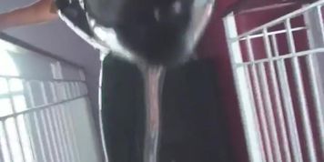 Latex lover
