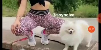 Asd asd