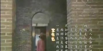 china show girl wangdan