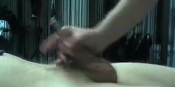 Thick urethra sound and cum