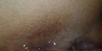 WHITE HOE BBC