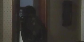 K.C. Williams Breasts Scene  in The Pamela Principle