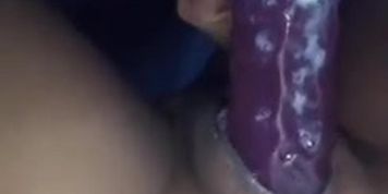 Purple dildo lightskin pussy