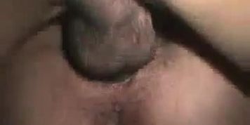 cuckold slut wife tastes another dick