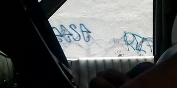 morritas de secu curiosas