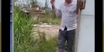 Human