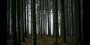 [M4F] Erotic Audio: You, the Dragonborn, have been captured