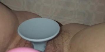 ?? ????? ???????