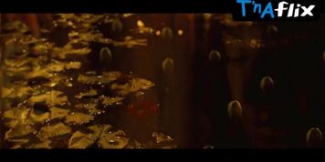Sofia Boutella Sexy Scene  in The Mummy