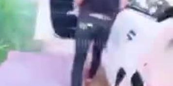 Mlive thai big boobs 