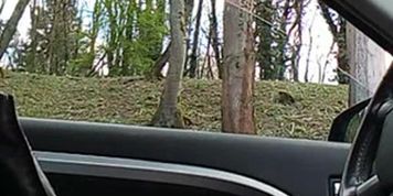 Car Flash 7