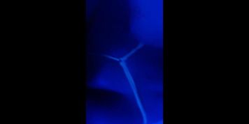 Compilation of hot tgirls selfies and fucking boys - 