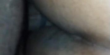 Stupid md bbw