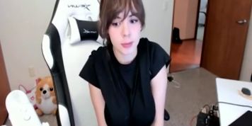 Hot Danyan Cat