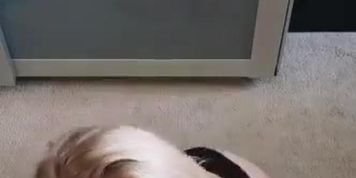 N!Nfu