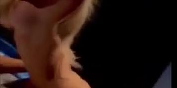 Stefanieknight
