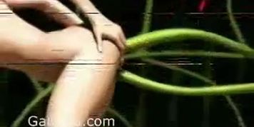 3D Flower Sex
